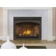 Napoleon Ascent GX42 Gas Direct Vent Fireplace - GX42