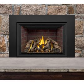 Napoleon Oakville Direct Vent Gas Fireplace Insert - GDIX4