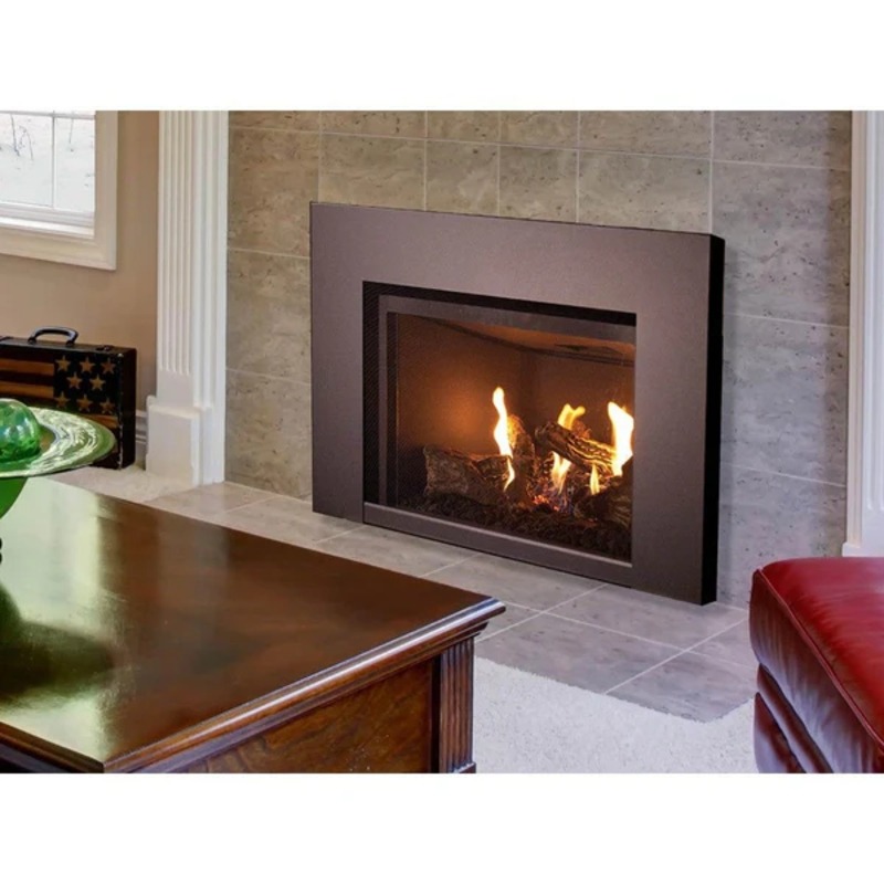 27-Inch Med Direct-Vent Gas Insert - Elec - DRI2027TEN