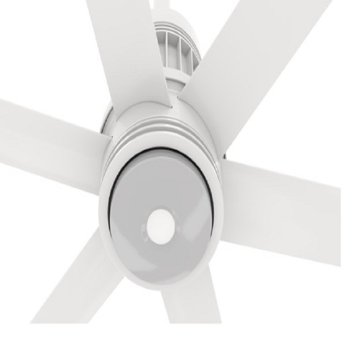 Essence LED Light Kit, 3000K, Black Trim Ring