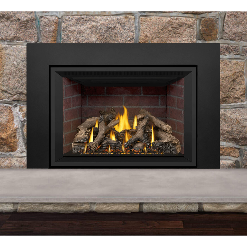 Napoleon Gas Direct Vent Fireplace Insert - GDIX4 | HVACDirect.com