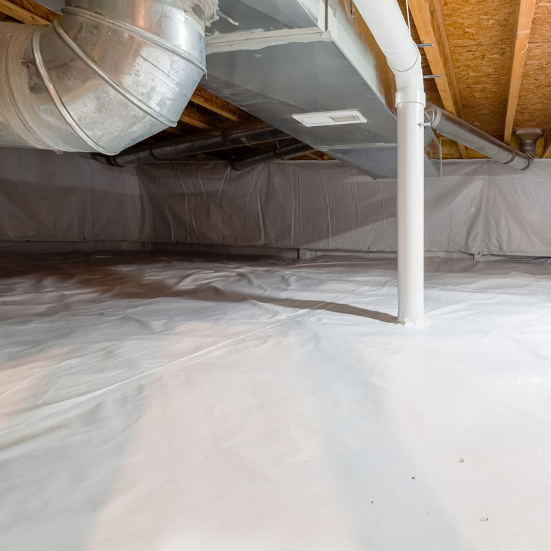 Crawl Space