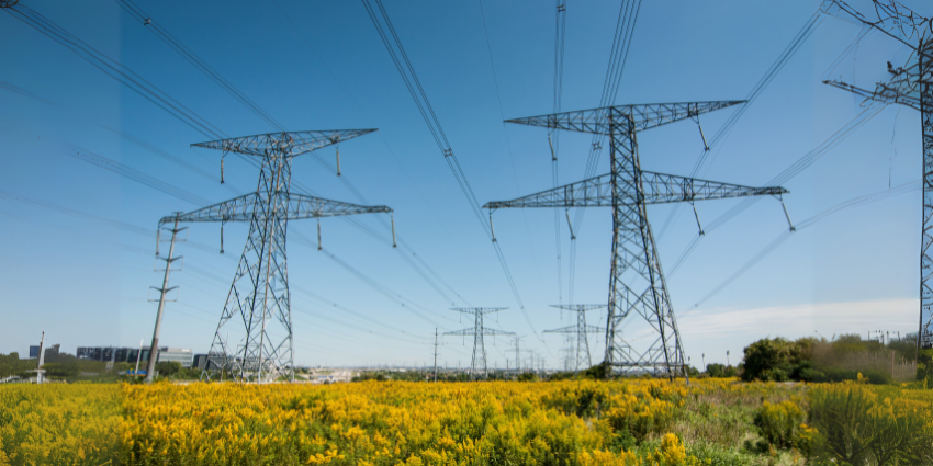 Does Your Electric Company Offer Energy Savings Kits?