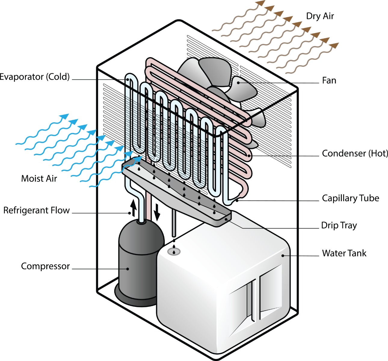 Dehumidifier diagram showing how whole-home moisture removal works