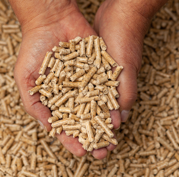 Wood pellets used for pellet stoves